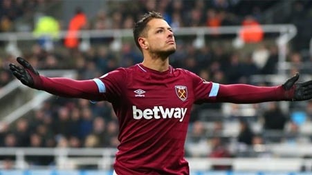 埃弗顿vs加的夫城比分预测：跨级对话悬念丛生，英超劲旅能主场轻松过关吗？