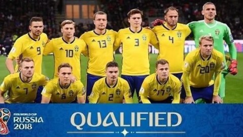 VAR判点破僵局 瑞典1-0点杀太极虎取首胜